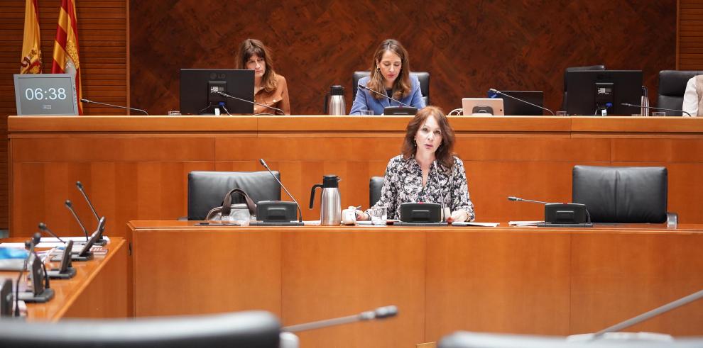 Carmen Herrarte ha explicado en las Cortes de Aragón las líneas generales de trabajo de su dirección general