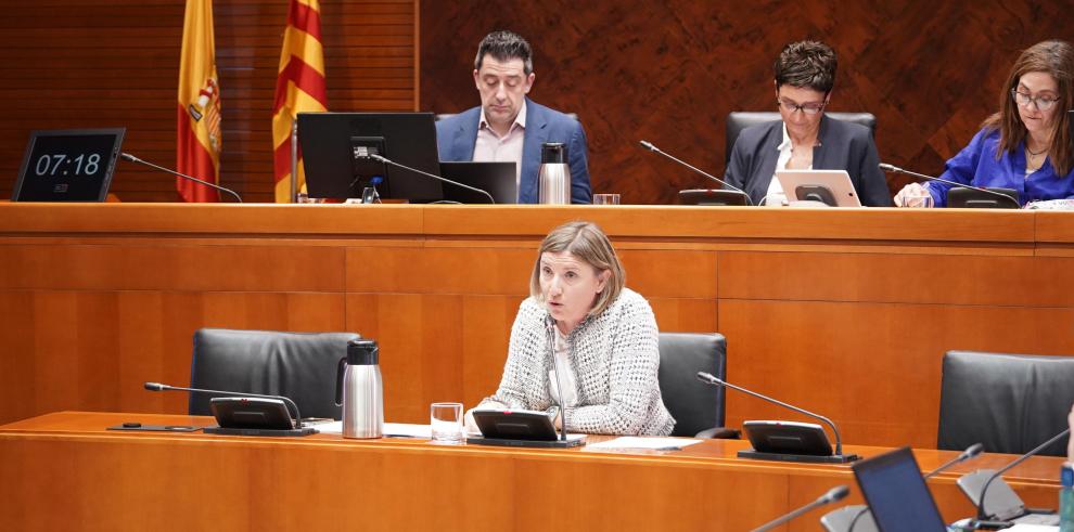 Este martes ha comparecido en las Cortes María Charte, la DG de Inclusión Social y Voluntariado
