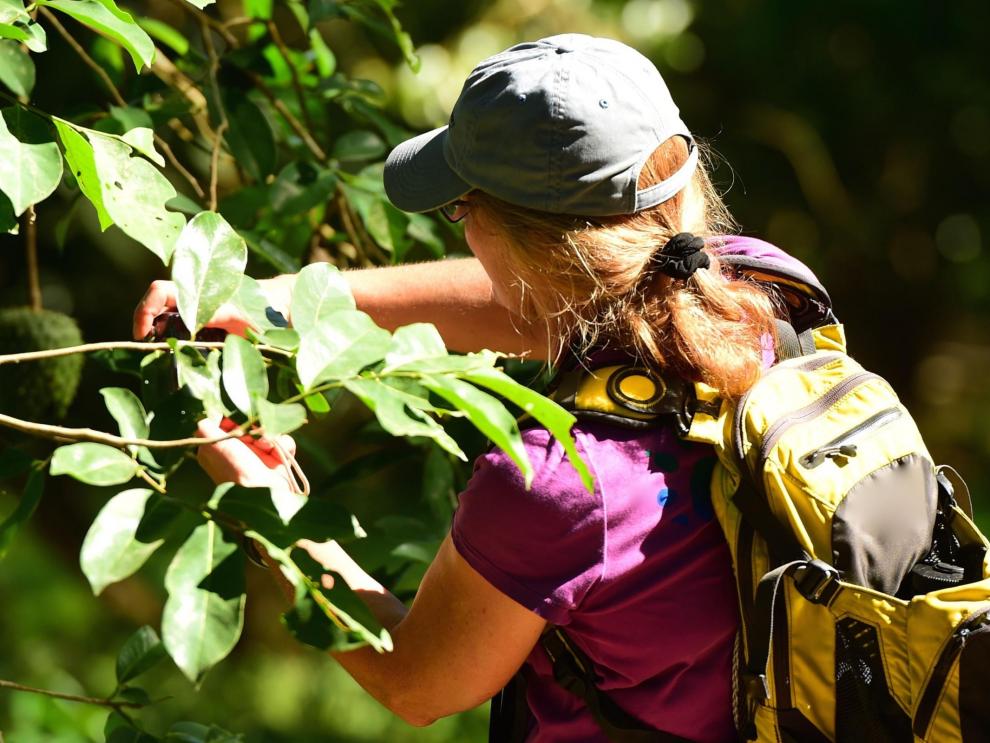 En Aragón son diez los campos de voluntariado en los que podrán inscribirse los jóvenes