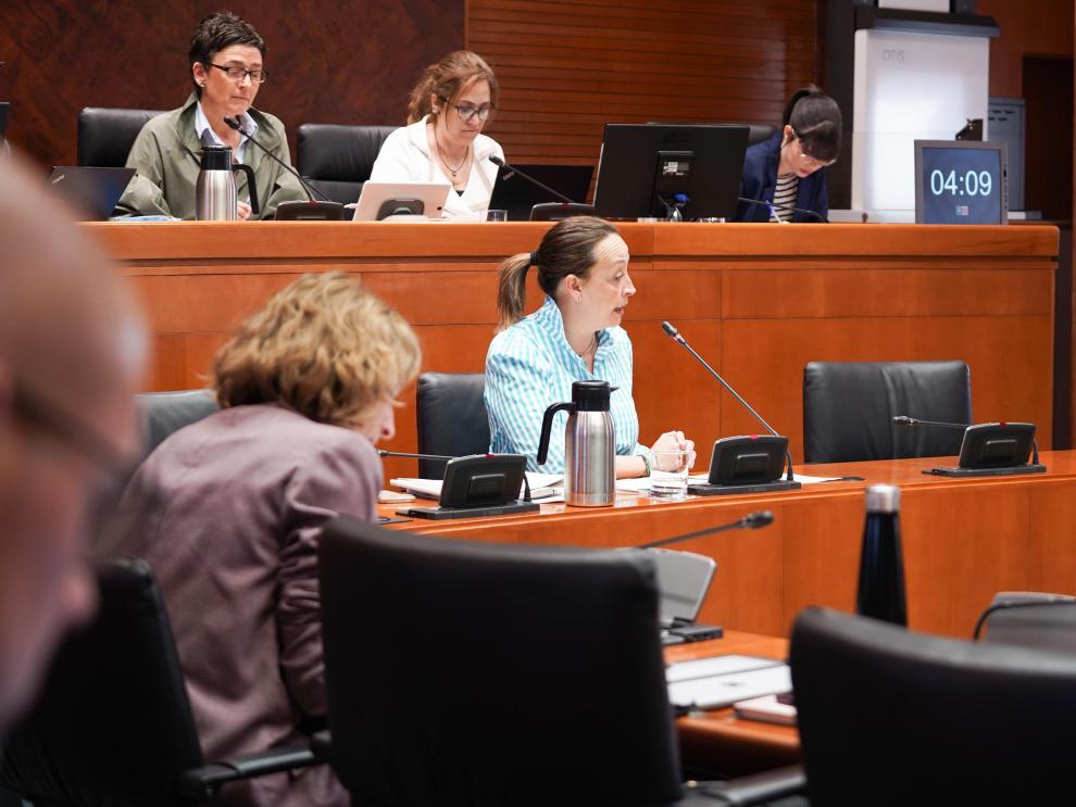 Este martes la Consejera ha comparecido para hablar sobre dependencia en la comisión de Bienestar Social y Familia