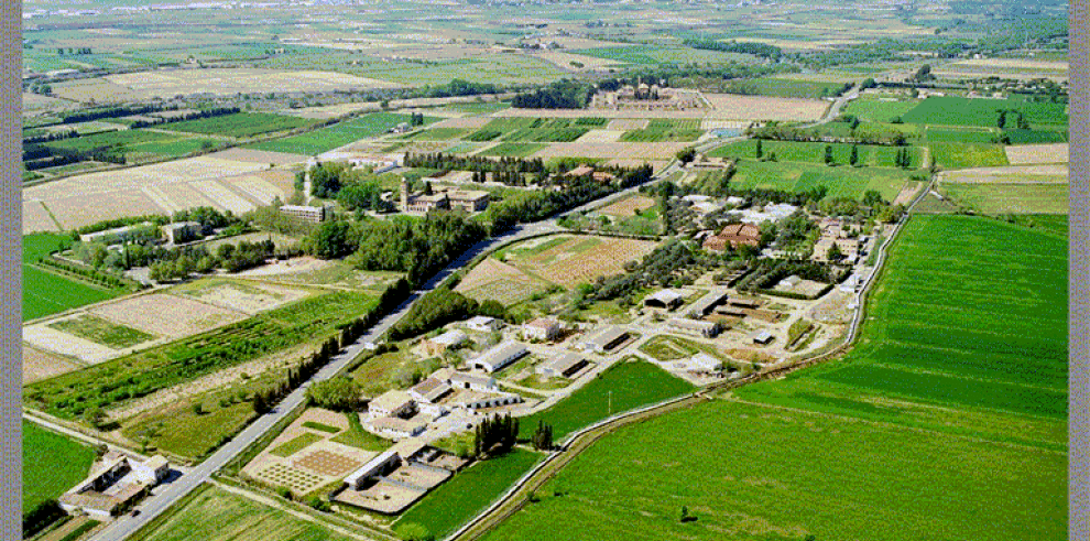 Las aceleradoras de empresas, una nueva oportunidad para generar valor en el territorio