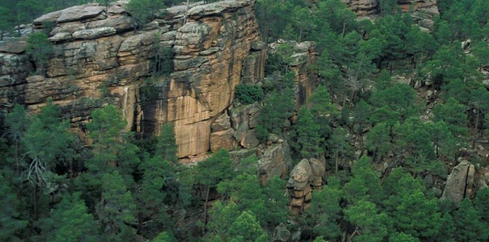 El Servicio Provincial de Medio Ambiente de Teruel trabaja en las 1.870 hectáreas afectadas en la Sierra de Albarracín por las nevadas