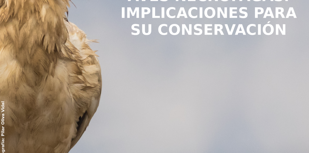 La Escuela Politécnica Superior de Huesca acogerá una jornada técnica sobre aves necrófagas