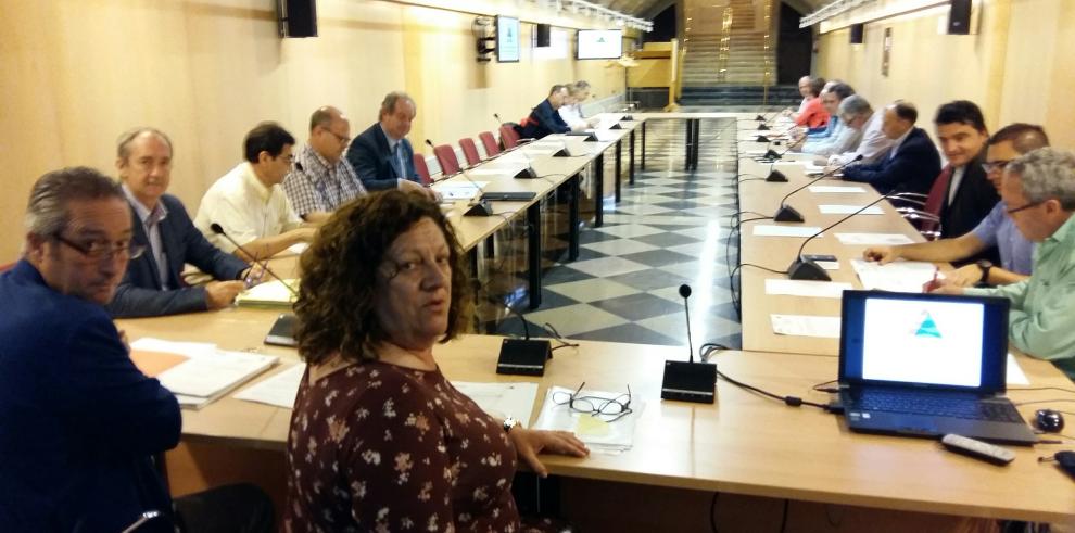 La Comisión de Protección Civil de Aragón da el visto bueno a los nuevos planes de emergencias ante riesgos radiológicos y de incendios forestales