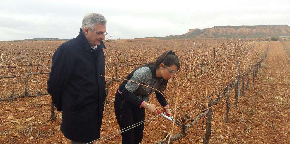 Olona: “En la agricultura existe una brecha de ocupación preocupante con solo el 20% de mujeres en la incorporación”