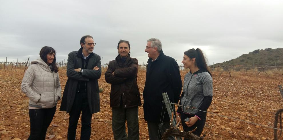 Olona: “En la agricultura existe una brecha de ocupación preocupante con solo el 20% de mujeres en la incorporación”