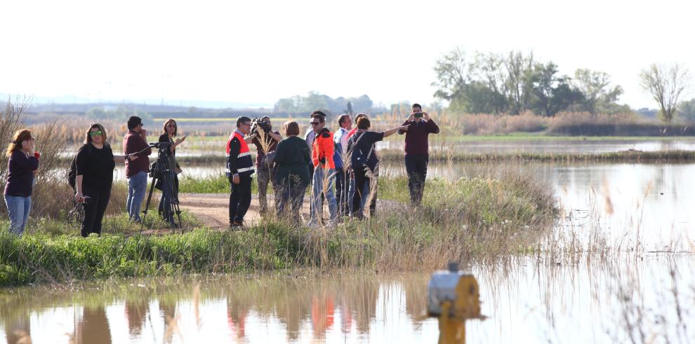 El Presidente de Aragón visita la Ribera Baja del Ebro donde todos los recursos ya están en marcha para proteger urbanos, bienes materiales y cultivos