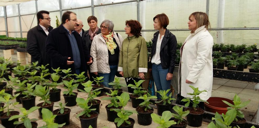 El Gobierno de Aragón apoyará con más plazas concertadas la ampliación de los centros para mayores y para personas con discapacidad de San Mateo de Gállego