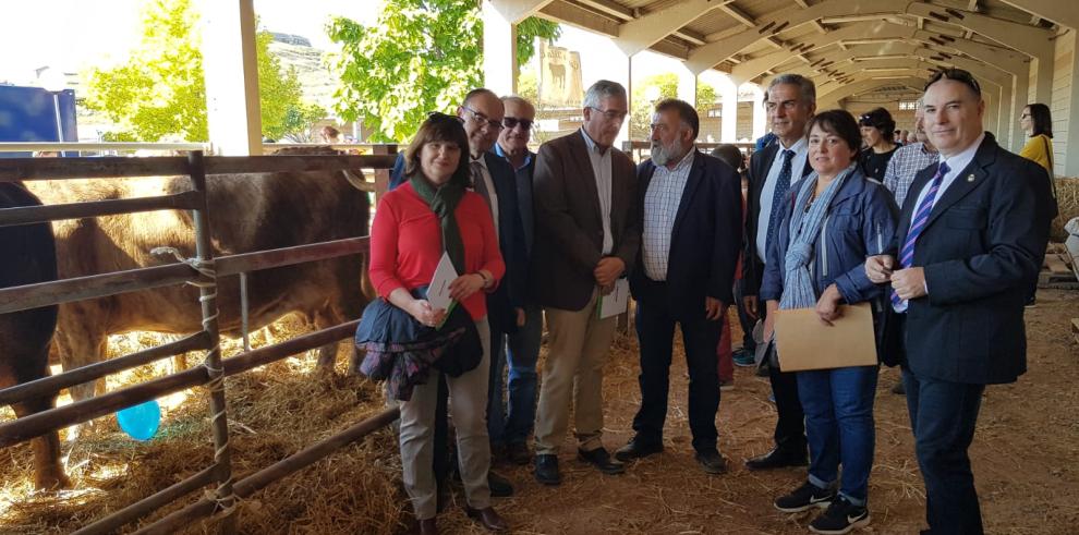 Olona: “No basta con declarar y pedir el apoyo a la ganadería extensiva, es preciso actuar eliminado los derechos históricos de la PAC”