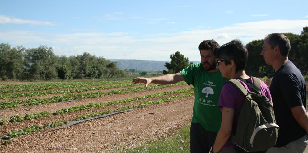 El CITA y ATADES firman un convenio de colaboración para la recuperación del Melón de Torres de Berrellén