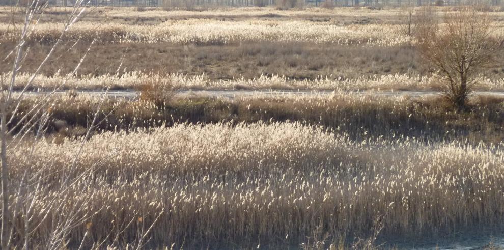 Comienza el proceso participativo para la Laguna del Cañizar en Cella 