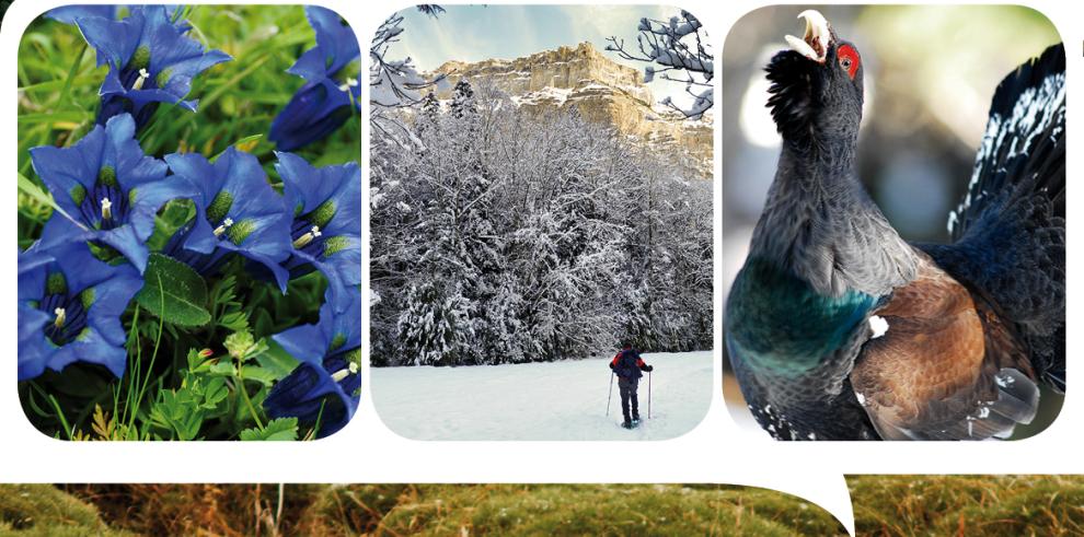 Más de 3.000 alumnos visitarán en La Alfranca la exposición sobre el Centenario del Parque Nacional de Ordesa y Monte Perdido