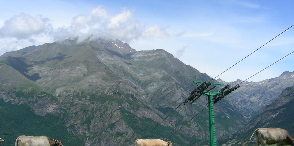  Aragón muestra su malestar con el programa de reintroducción del oso en el Pirineo occidental