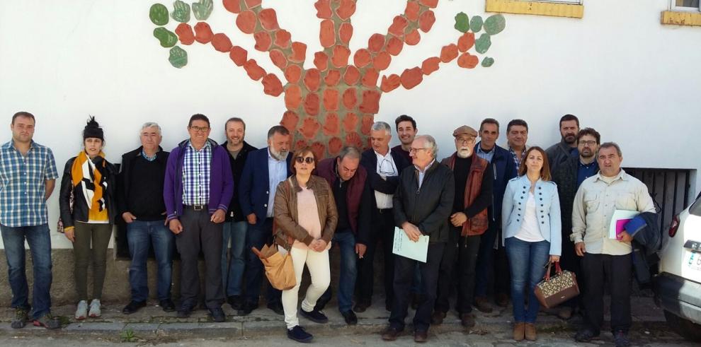 El Gobierno de Aragón trabaja en la retirada del arbolado desplomado en las Sierras de Albarracín y Pelarda a causa de la nieve