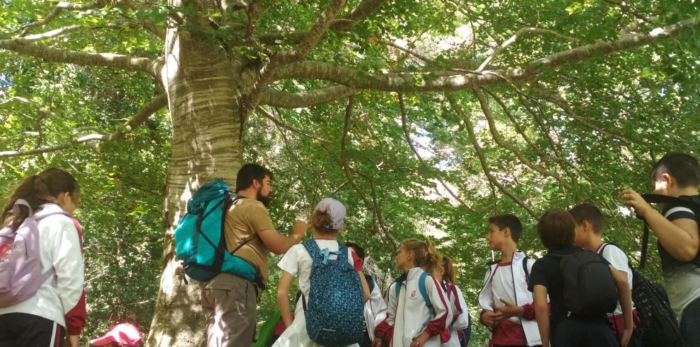 Más de un centenar de actividades, protagonistas del verano en la Red Natural de Aragón 