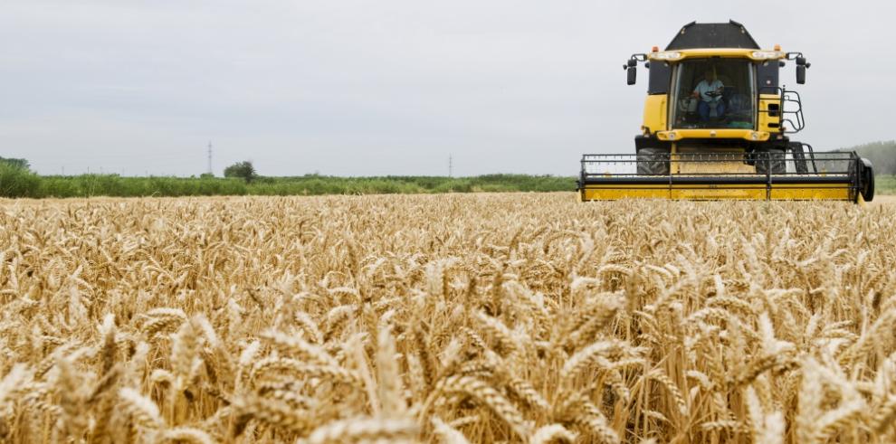 Puesta en marcha del proyecto ECOCEREAL+ para el apoyo al sector del cereal ecológico