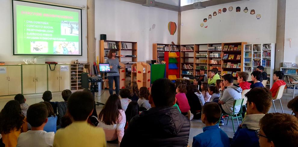 Niños de Primaria y ESO de Zaragoza aprenden a ser responsables con las mascotas en vísperas de la Navidad