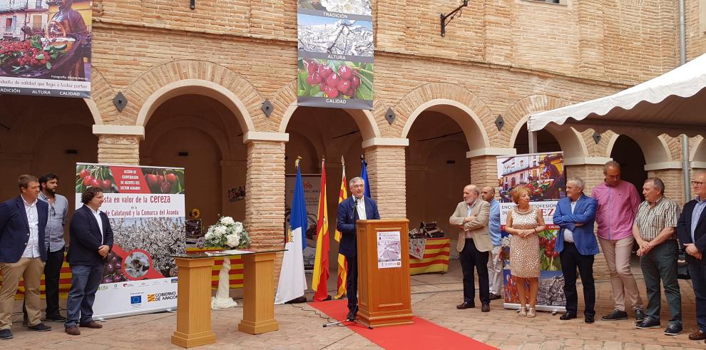 Olona apoya la creación de la figura de Identificación Geográfica Protegida para la cereza de Calatayud y el Aranda