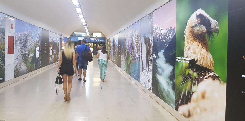 Avanza promociona el Centenario de Ordesa y Monte Perdido en la Estación Sur de Autobuses de Madrid