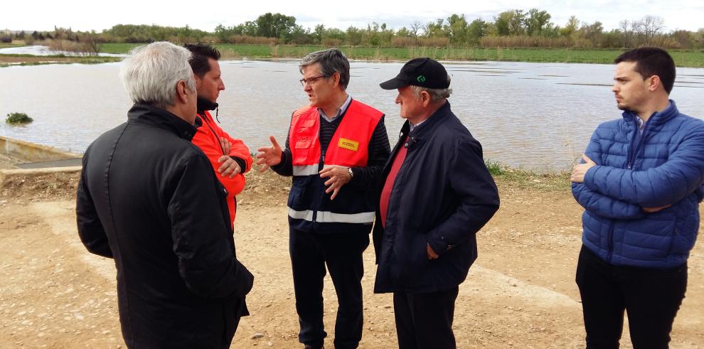 Guillén anuncia “una vigilancia permanente” de las motas de Pina y Quinto