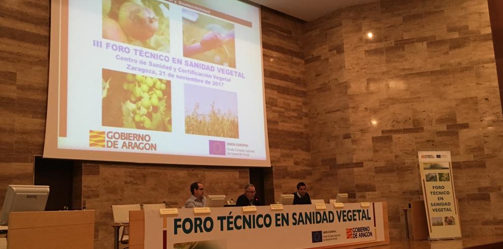 Abierto el plazo de inscripción para el IV Foro técnico de sanidad vegetal