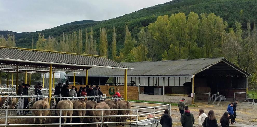 Otoño de visitas en la Finca Experimental del CITA “La Garcipollera” 