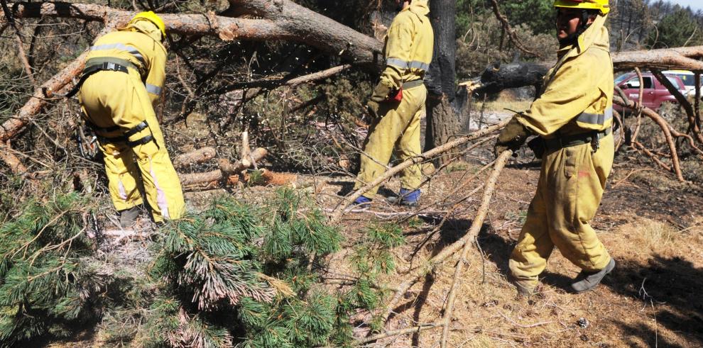 Comienzan a trabajar las cuadrillas terrestres en trabajos de prevención y extinción de incendios forestales