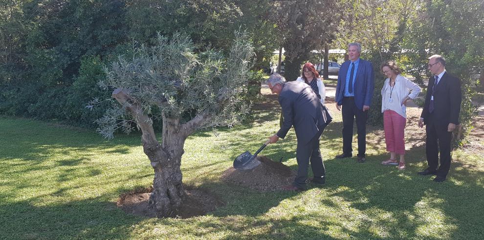 El consejero Olona ha destacado “la suerte para Aragón de contar con un centro como el IAMZ” 