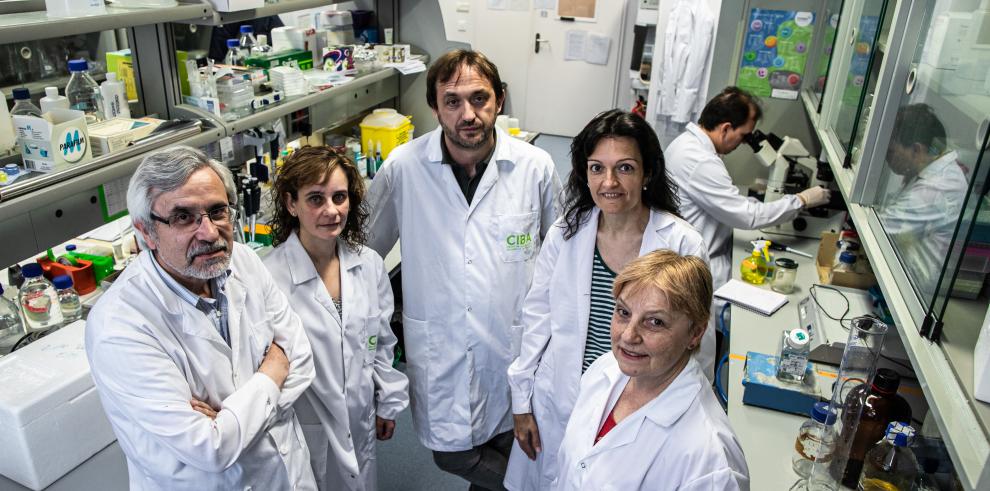 Investigadores aragoneses hallan un nuevo método para diagnosticar de forma precoz la aspergilosis invasiva