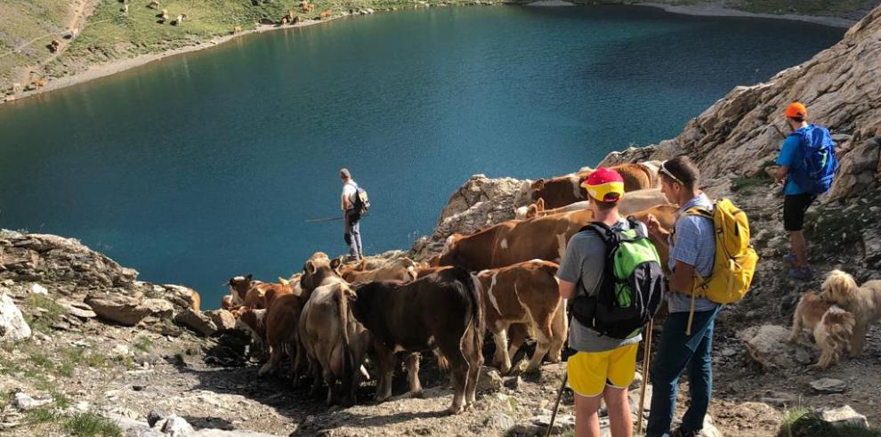 Olona pone en valor el papel de la trashumancia en la conservación de los paisajes y el mantenimiento de las razas autóctonas