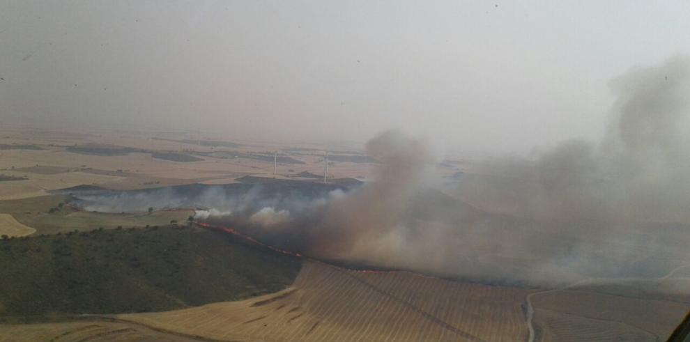 120 hectáreas ardieron en el incendio de Alcalá de Gurrea