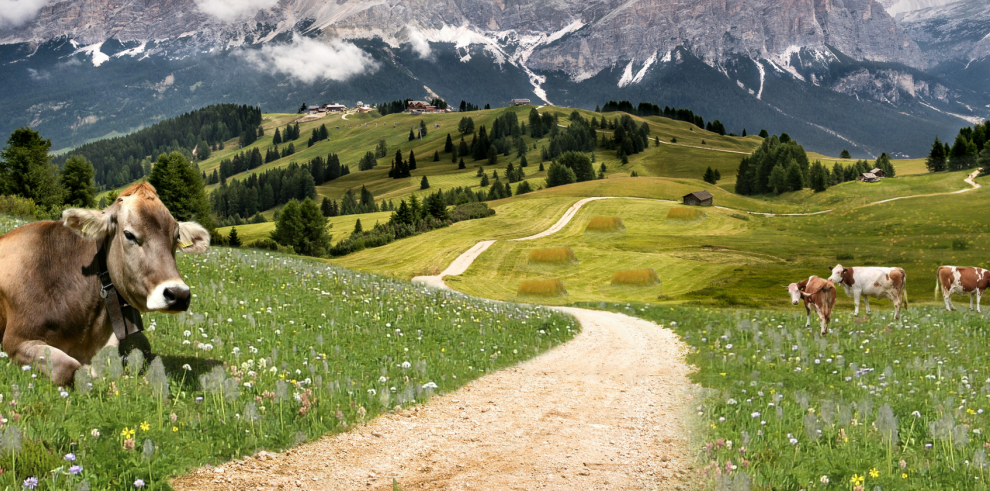 Investigadores del CITA cuantifican las funciones ambientales de la agricultura en las zonas de montaña europeas