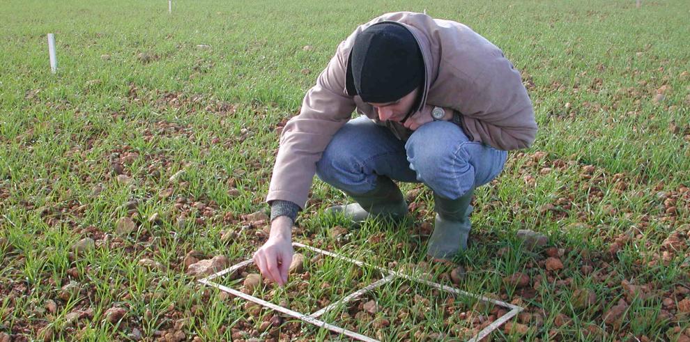 Se incorporan al sector agrario 262 nuevos jóvenes con la ayuda del Gobierno de Aragón