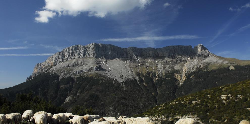 El Gobierno de Aragón retoma la línea de subvenciones a particulares para el desarrollo sostenible en el entorno de los Espacios Naturales Protegidos