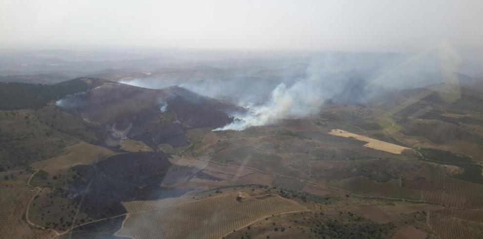 Efectivos terrestres vigilarán esta noche el incendio estabilizado ya en Castejón de Alarba