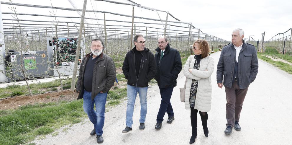 Lambán visita un proyecto innovador de fruticultura a más de mil metros de altura en la localidad turolense de Villarquemado