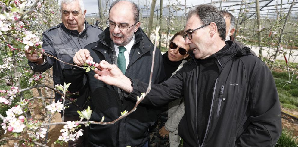 Lambán visita un proyecto innovador de fruticultura a más de mil metros de altura en la localidad turolense de Villarquemado