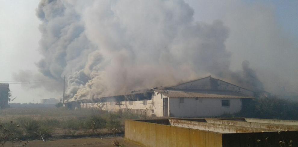   El incendio de Huesca queda controlado con 110 hectáreas quemadas, en su mayoría campos de cereal 