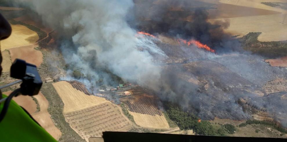 El incendio de Villanueva de Huerva se salda con unas 250 hectáreas quemadas de suelo agrícola y matorral en su mayor parte