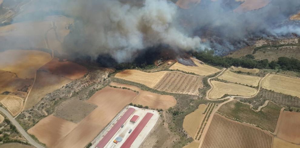 El incendio de Villanueva de Huerva se salda con unas 250 hectáreas quemadas de suelo agrícola y matorral en su mayor parte