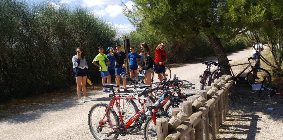 Aragón acoge en el mes de julio 258 campamentos y colonias con más de 17.000 menores