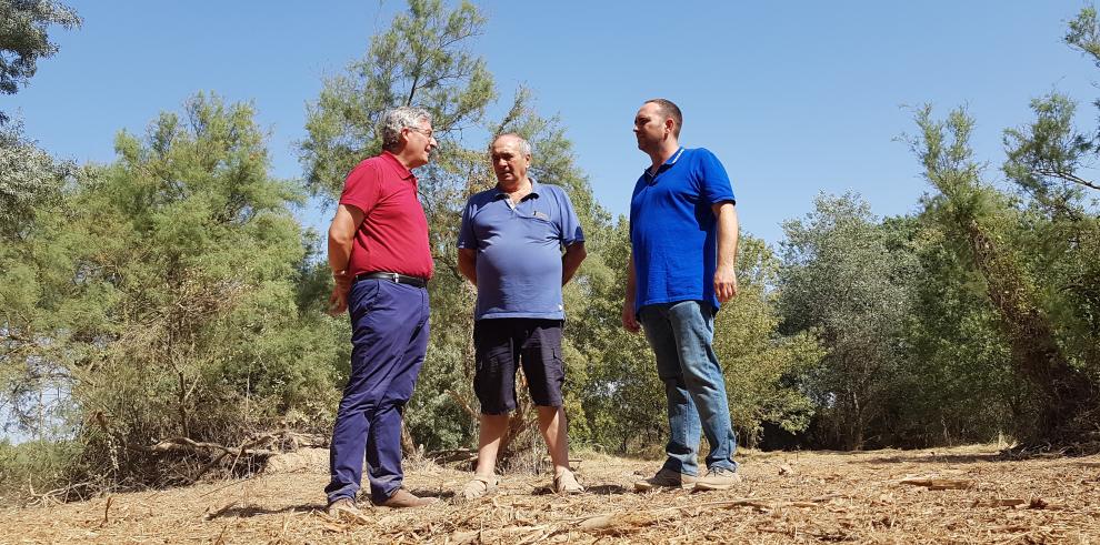 El Gobierno de Aragón consolida en Pradilla la experiencia piloto de limpieza de las riberas del Ebro   