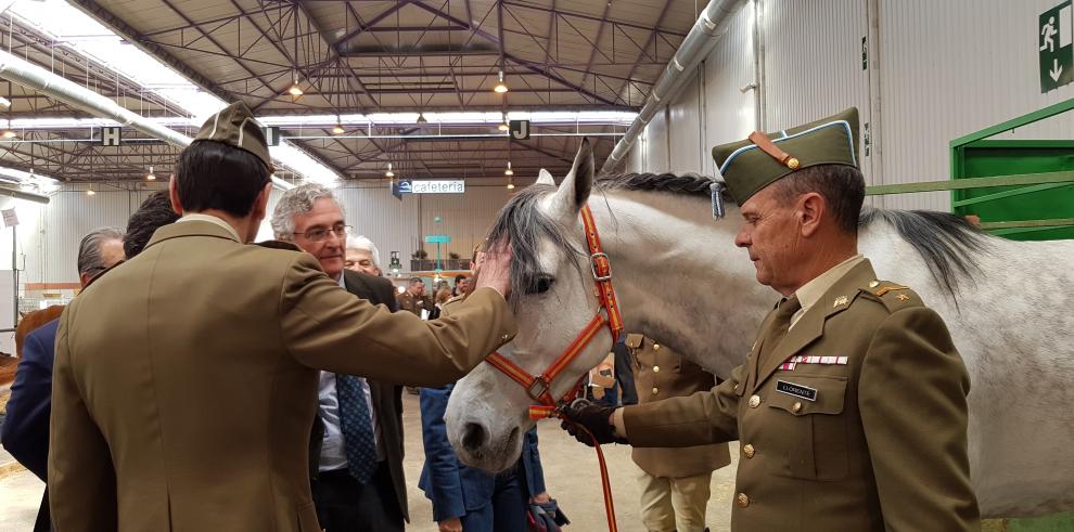 Olona recuerda en FIGAN que Aragón es una potencia internacional de primer nivel en producción cárnica