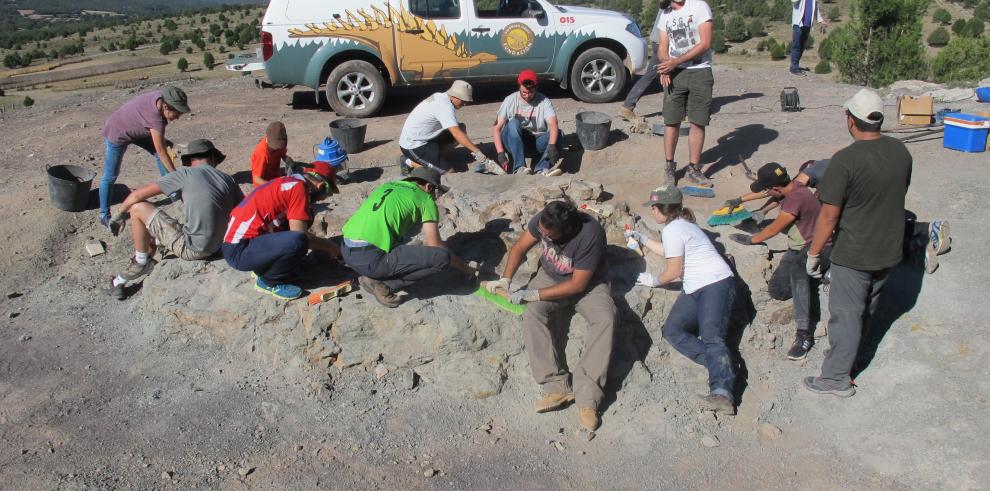 La Universidad de Verano de Teruel colabora con Dinópolis para mostrar las prácticas en excavación de dinosaurios 