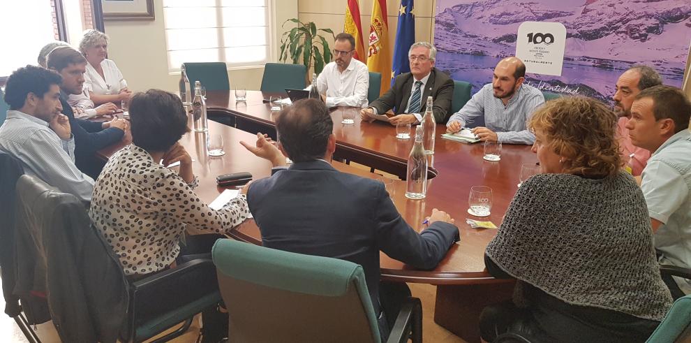 El Gobierno de Aragón pide que el Protocolo de intervención ante osos problemáticos sirva para actuar con agilidad y eficacia