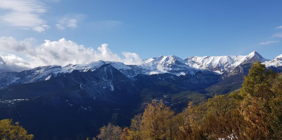 Aragón supera las 100.000 hectáreas forestales certificadas