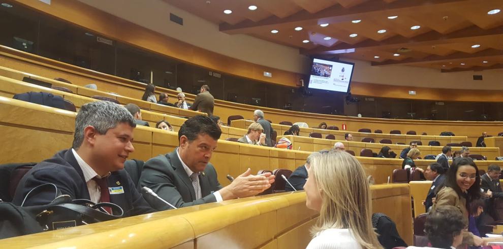 “El medio rural tiene que pasar a ser prioritario”, afirma Javier Allué en el Senado