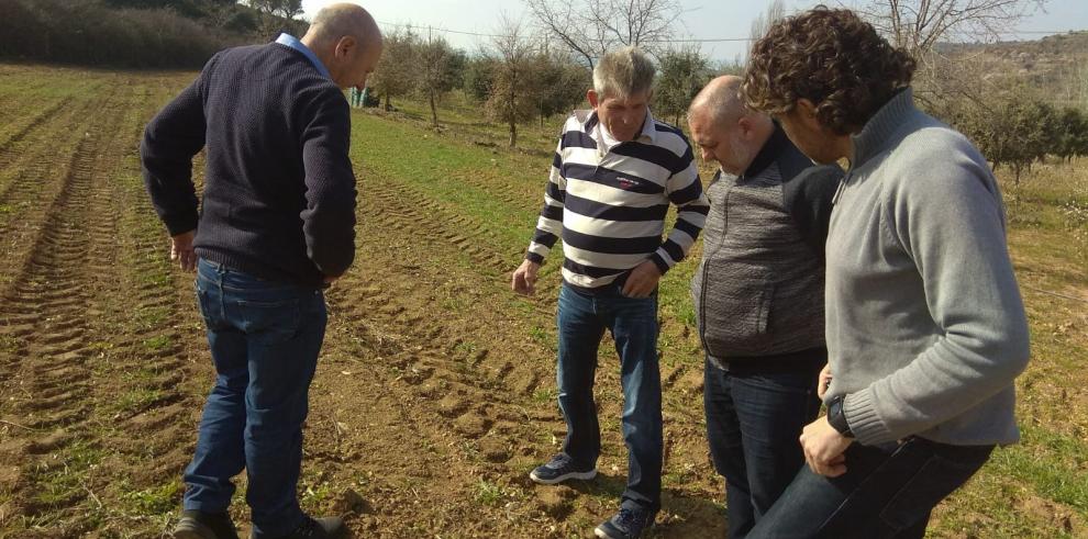 El CITA intercambiará sus experiencias en el cultivo de plantas aromáticas y medicinales
