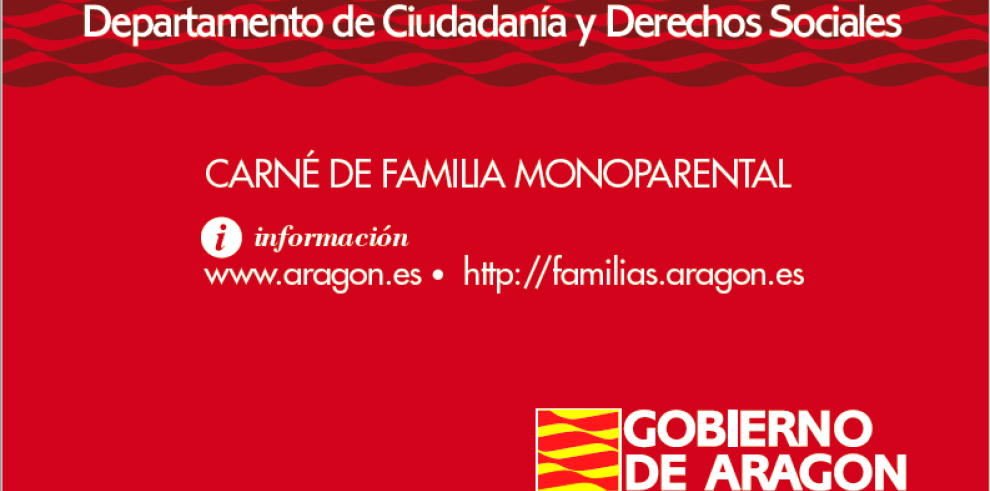 La dirección general de Igualdad y Familias ha tramitado ya 339 solicitudes del cané monoparental en un mes 