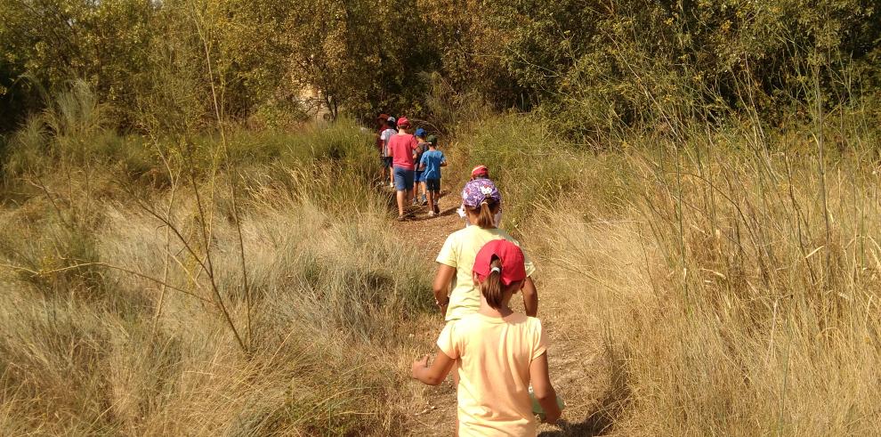 Nueva edición del campus infantil de verano de La Alfranca